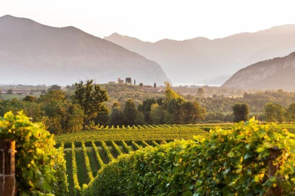 La Dolce Vita - Vista Lago E Piscina Parzanica エクステリア 写真